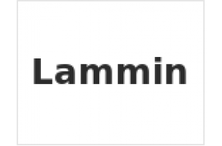 Lammin